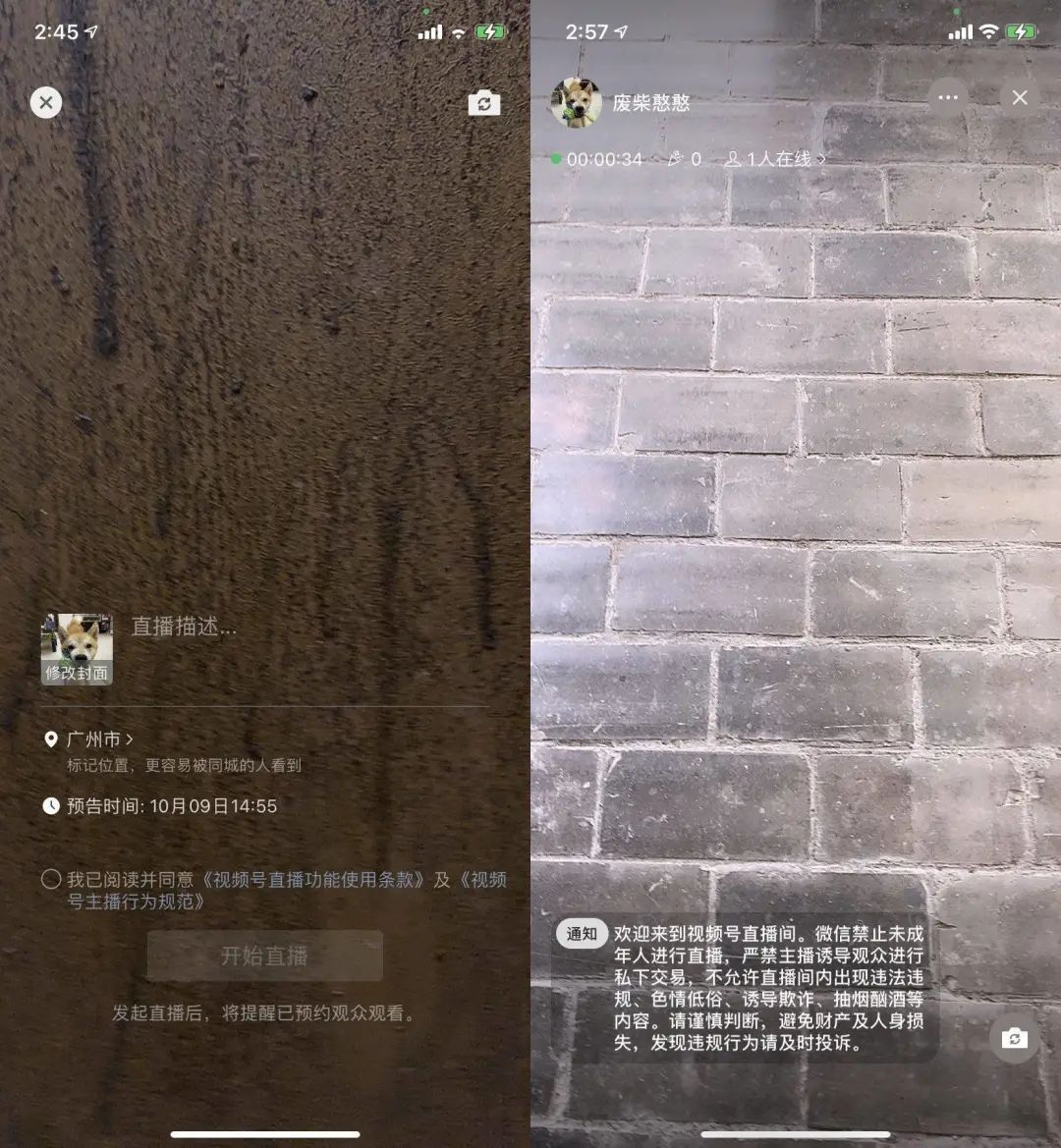 视频号的直播功能 视频号的直播功能